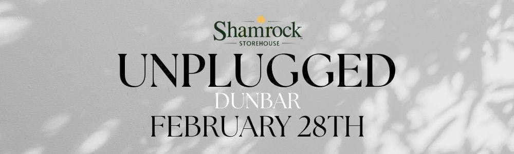 Unplugged sessions at Dunbar