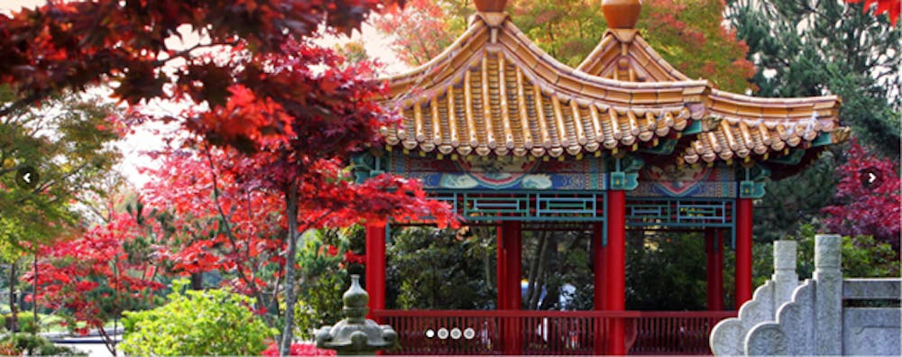 A GUIDED TOUR AND LUNCH OF THE INTERNATIONAL BUDDHIST TEMPLE