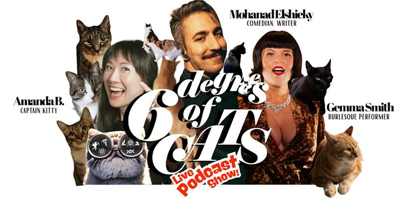 6 Degrees of Cats