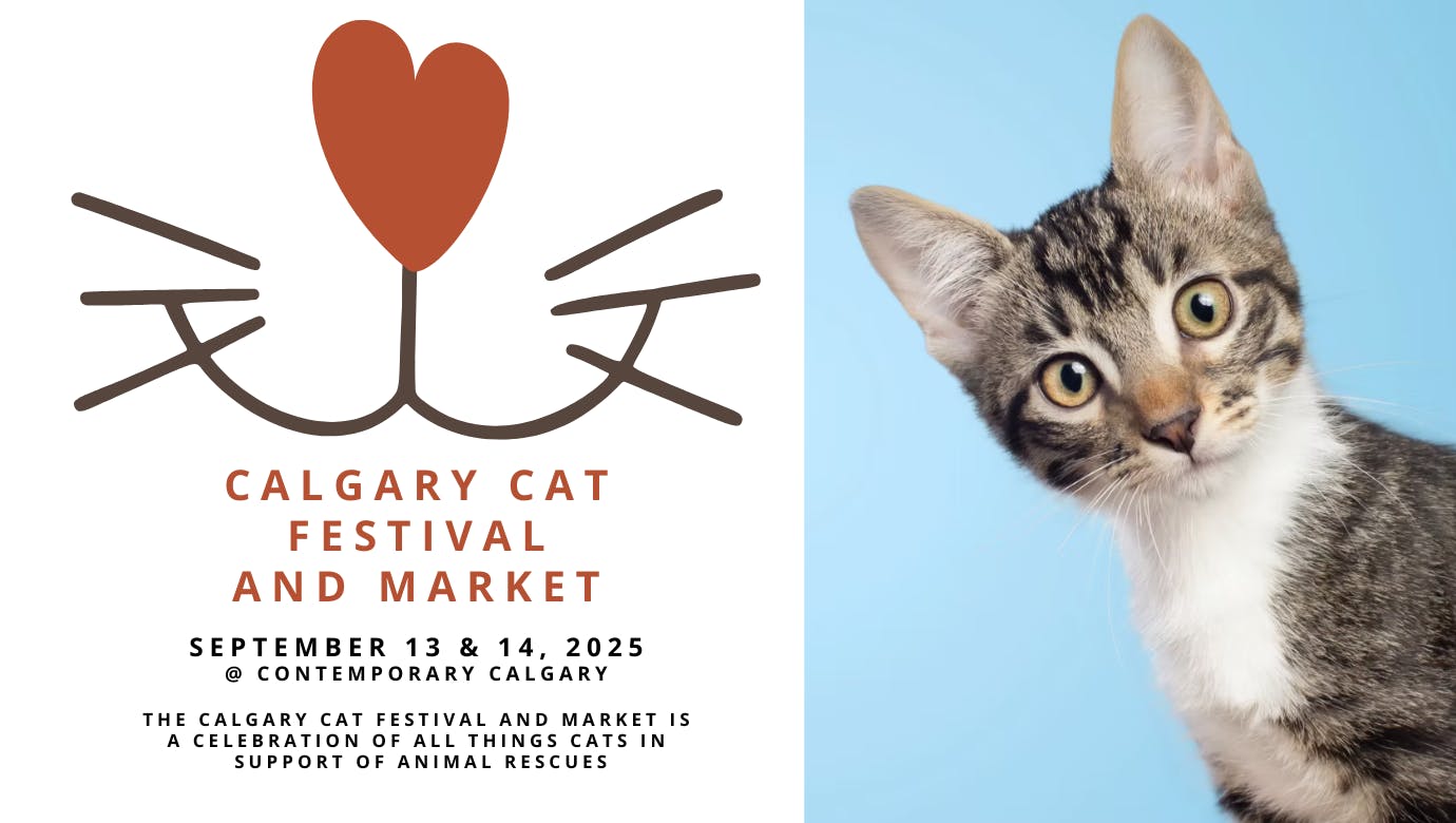 Calgary Cat Festival and Market - Sunday