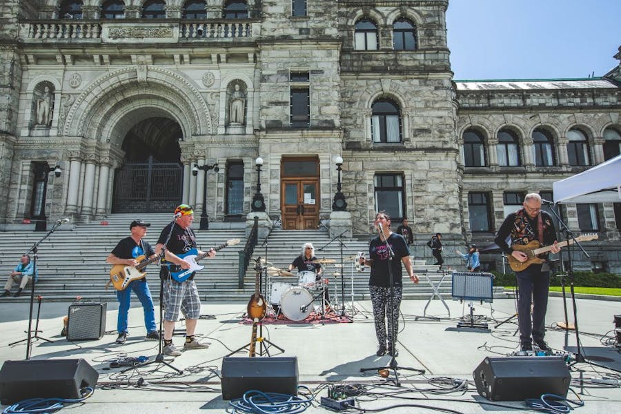 Classic Fish And Chips Dinner with the Love Cats