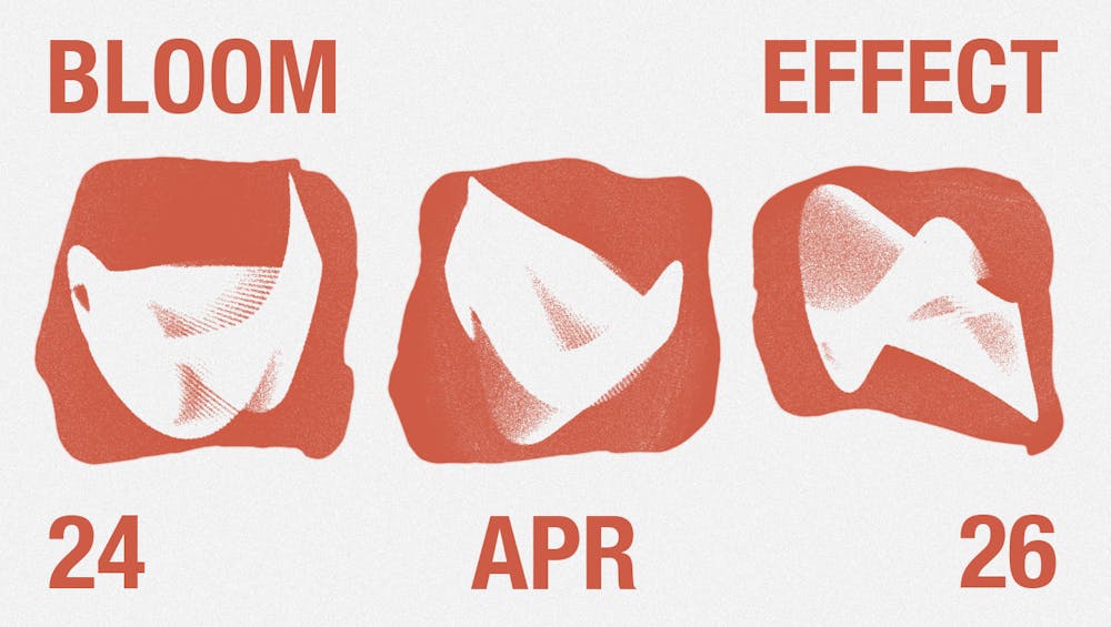 bloom effect x painted lady records